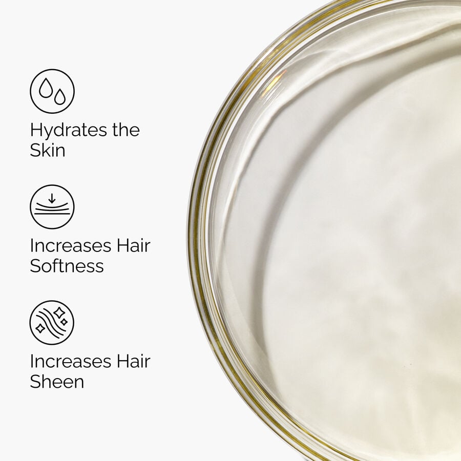 100-organic-cold-pressed-moroccan-argan-oil-h9 FY25-D41247-ORD-Web-PDP-100-Argan-Oil-1x1-EN-3.jpg