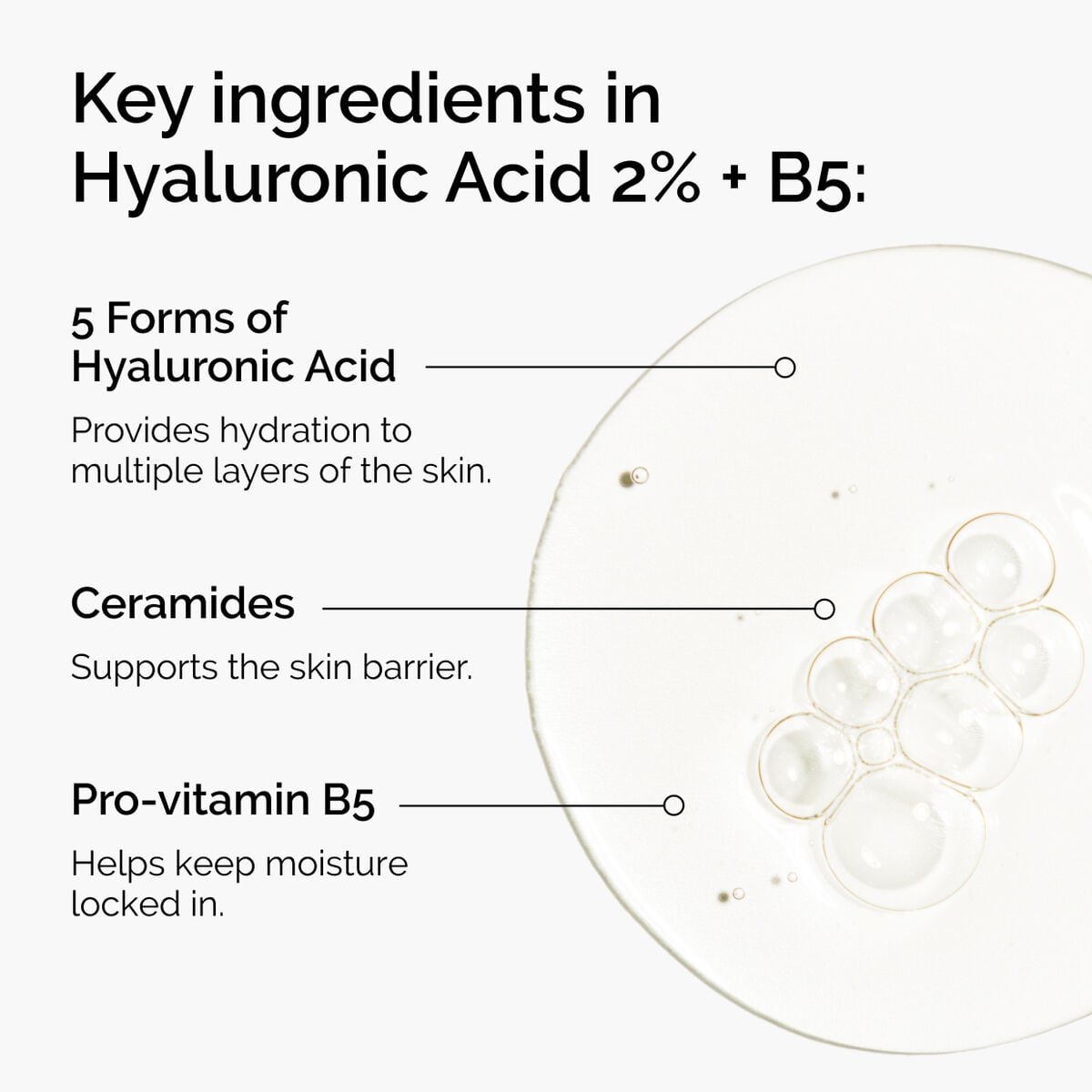 hyaluronic-acid-2-b5-with-ceramides-g7 ord-hyaluronic-acid-2pct-b5-hydrating-serum-ingredients-graphic.jpg